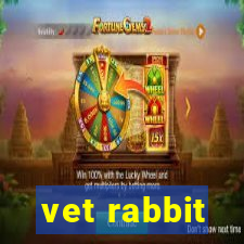 vet rabbit